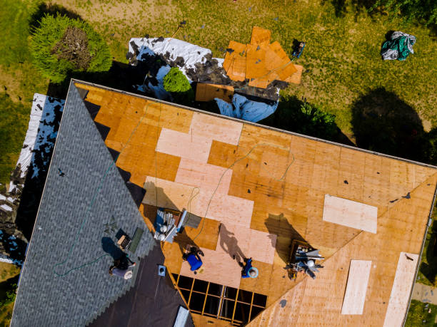 Best Commercial Roofing Services  in Severance, CO