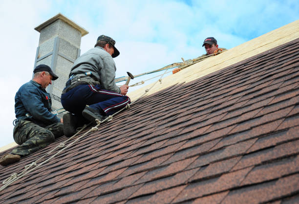 Best New Roof Installation  in Severance, CO